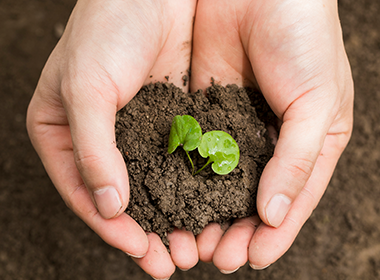 環(huán)保管家 | 在促進(jìn)企業(yè)綠色發(fā)展...